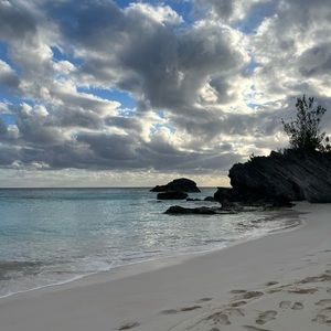 Meet your Posher, Ella